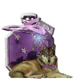 Serving the Tarot World by E-Mail